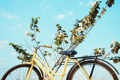 黄色城市自行车的浅焦照片
